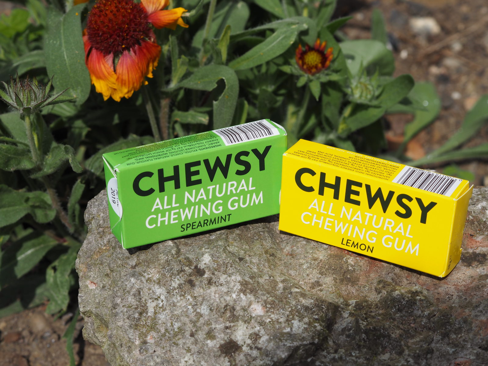 chewsy spearmint and lemon chewing gum